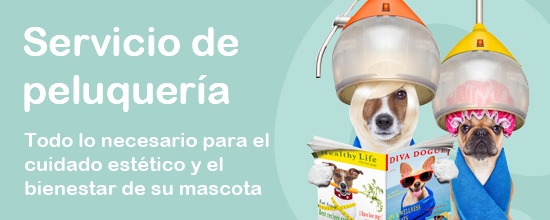 Servicio de peluqueria